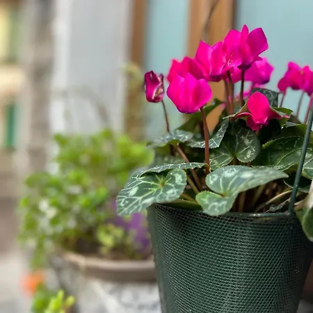 Unique Romantic Cave With Air Conditioner * Torno