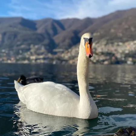 Unique Romantic Cave With Air Conditioner Apartmán