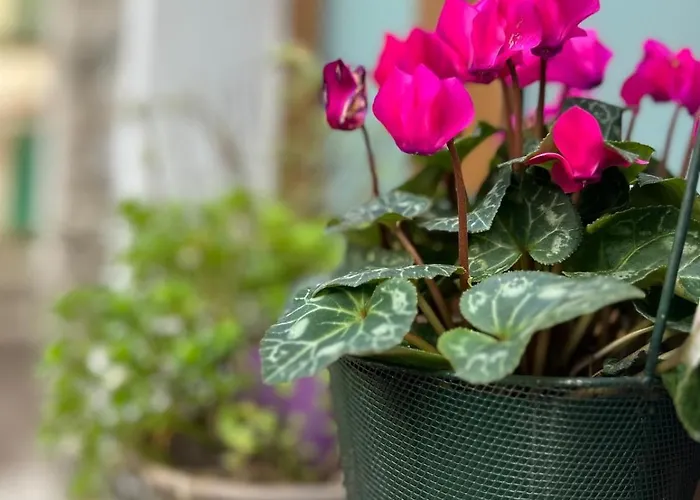 Unique Romantic Cave With Air Conditioner * Torno