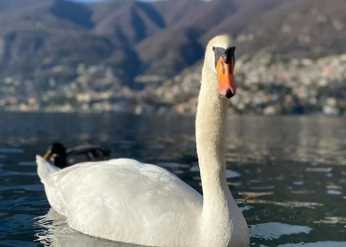 Unique Romantic Cave With Air Conditioner דירה